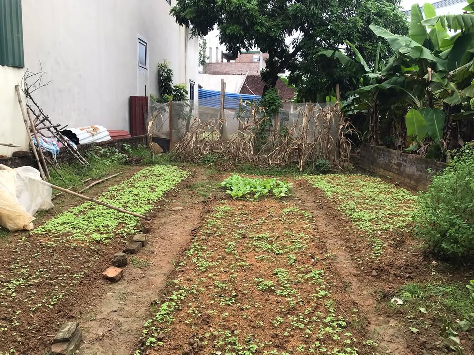 Đất thổ cư 112m² Cần Kiệm Thạch Thất giá 2.574 tỷ - Cơ hội đầu tư hấp dẫn!