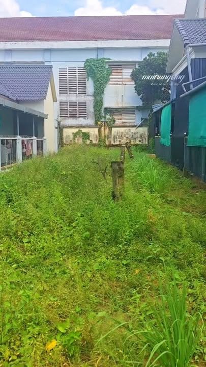 Đất đẹp 210,3m² tại lộ Bích Vàm, phường Thuận Hưng, Cần Thơ - Giá thỏa thuận hấp dẫn!