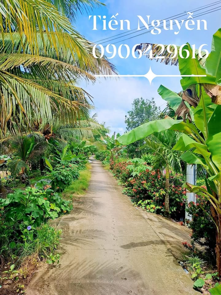 Đất nền Thới Lai, Ô Môn 6545m² giá chỉ 1.531 tỷ - Cơ hội đầu tư hấp dẫn!