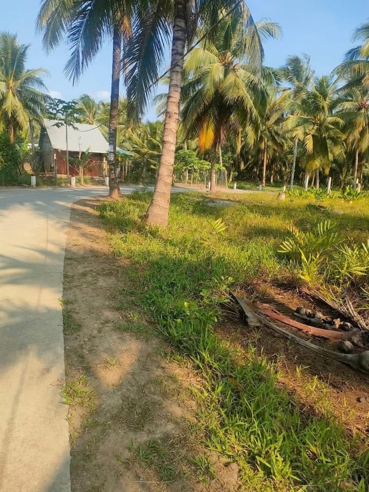 Đất nền 2 mặt tiền xã Phước Hiệp 1205m² giá chỉ 950 triệu - Cơ hội đầu tư tuyệt vời!