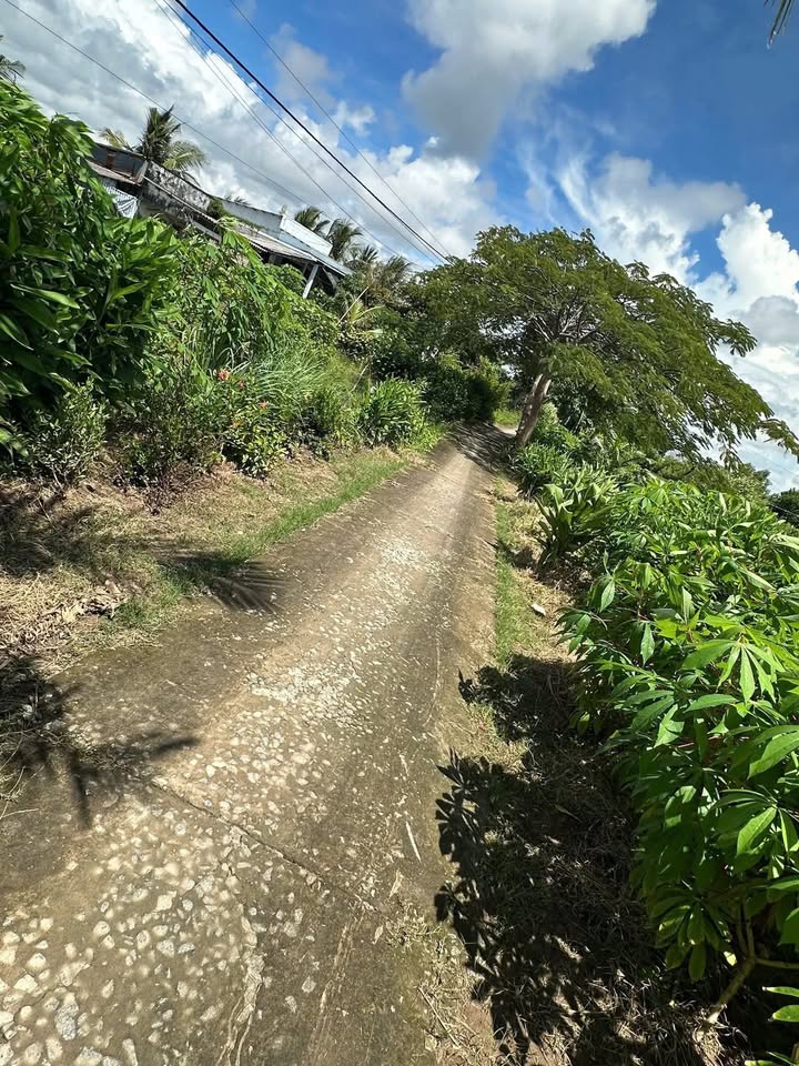 Đất nền 13000m² tại Kinh Huyện Đội, Cà Mau - Giá 120 triệu/công, thương lượng ngay!