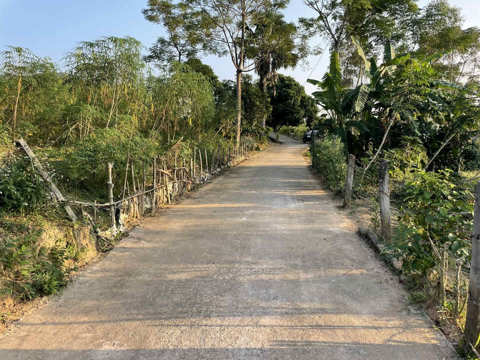 Đất nền 1260m² tại xã Yên Lãng, Sông Lô - Cơ hội đầu tư lý tưởng!