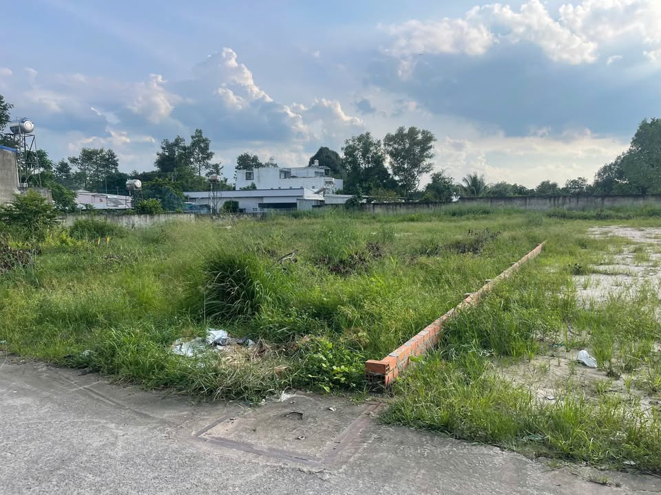 Đất Lộc An Long Thành 90m² chỉ 1 tỷ - Sổ đỏ chính chủ, đường 8m chuẩn bị đổ bê tông!