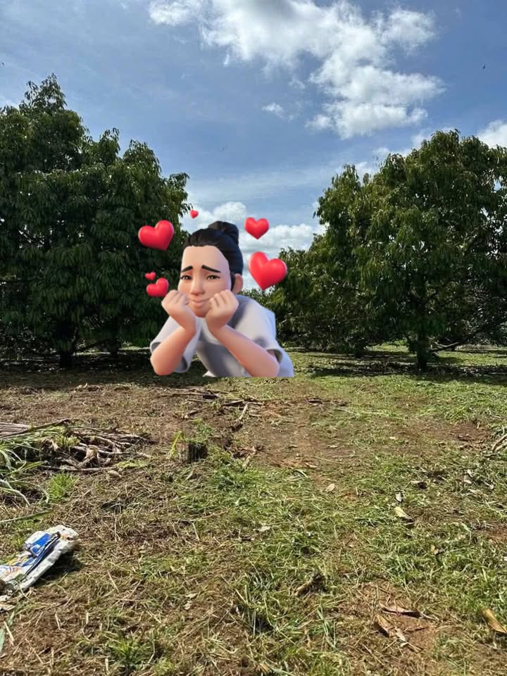 Farm sầu riêng 3,7 sào tại Cư Huê, Ea Kar, Đắk Lắk giá 1,3 tỷ - Đầu tư sinh lời tiềm năng!