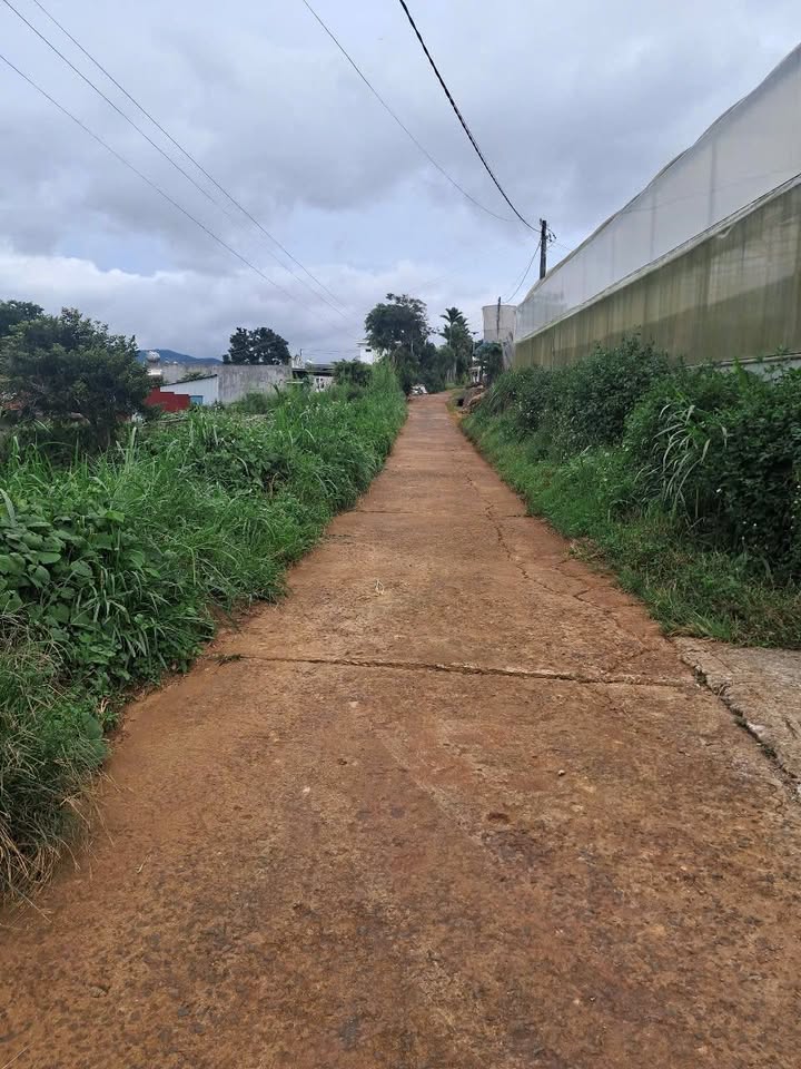 Đất nền Ka Đô, Đơn Dương 150m² giá 550 triệu - Sổ đỏ chính chủ, đầu tư sinh lời!