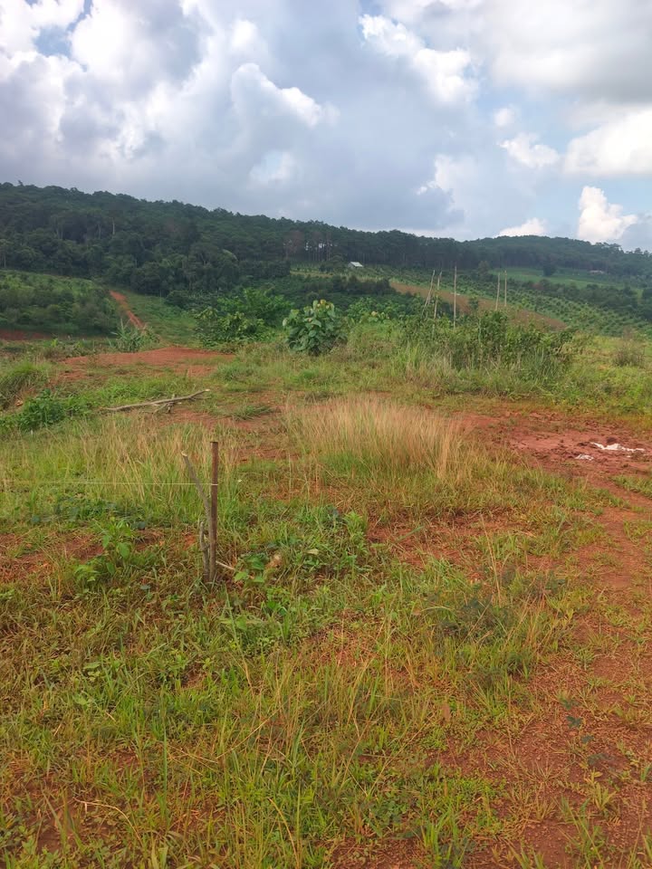 Đất nền 400m² xã Quảng Trực, Tuy Đức, Đắk Nông - Giá chỉ 150 triệu!