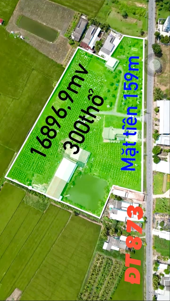 Đất nền Gò Công 16896m² giá 42.24 tỷ - Cơ hội đầu tư sinh lời!