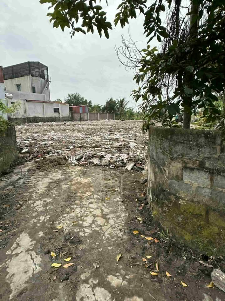 Đất liền kề Lương Quán, An Dương, Hải Phòng 100m² - Cơ hội đầu tư kinh doanh tuyệt vời!