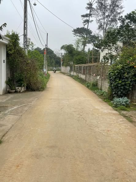 Lô đất 400m² đường TL87, xã Suối Hai, Ba Vì - Đầu tư sinh lời ngay!