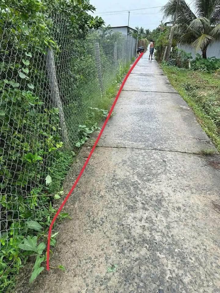 Đất nền Tân Thiềng Chợ Lách 1900m² giá 820 triệu - Đầu tư sinh lời cao!