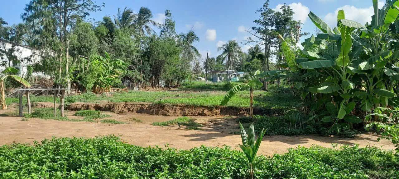 Đất nền An Đức, Ba Tri, Bến Tre 877,8m² giá 700 triệu - Cơ hội đầu tư hấp dẫn!