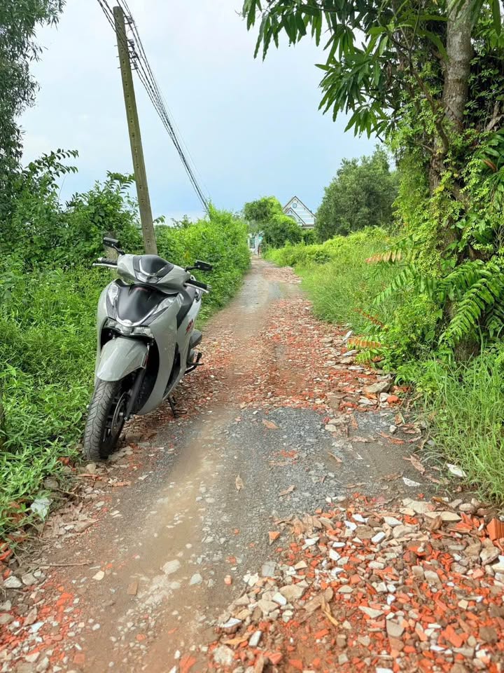 Đất nền xã Thanh Phú, Bến Lức 960m² giá 6 tỷ - Cơ hội đầu tư hấp dẫn!