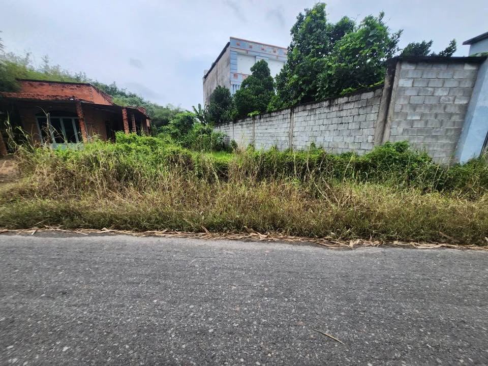 Đất nền An Nhơn Tây Củ Chi 300m² giá 1.35 tỷ - Đầu tư sinh lời ngay!