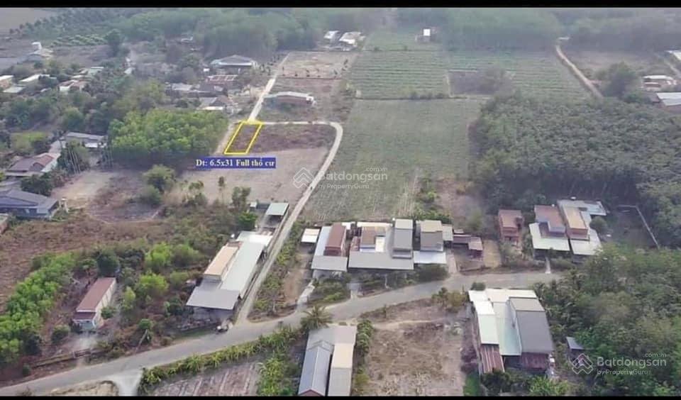 Đất thổ cư Phước Thạnh, Gò Dầu 202,5m² giá 520 triệu - Tiềm năng tăng giá cao!