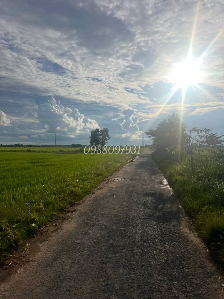 Đất nông nghiệp Lương Hoà, Châu Thành 4.000m² giá 1.12 tỷ - Mặt tiền bờ kênh rộng rãi!