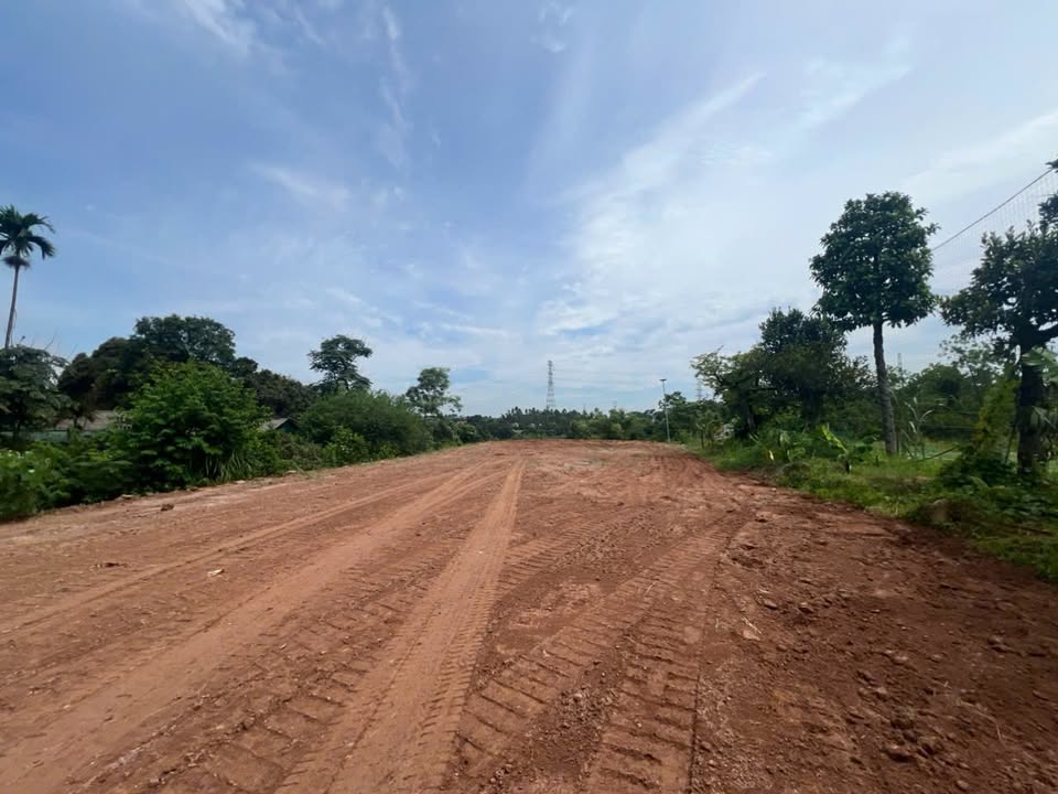 Đất mặt đường tỉnh lộ 310 Phong Châu 1206m² - Cơ hội đầu tư lý tưởng!