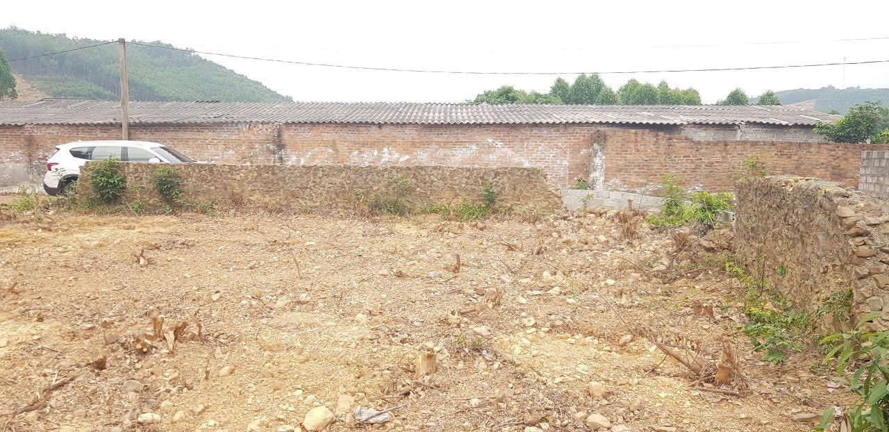 Đất nền Cẩm Lý, Lục Nam, Bắc Giang 2800m² giá 2.3 tỷ - Cơ hội đầu tư tuyệt vời!