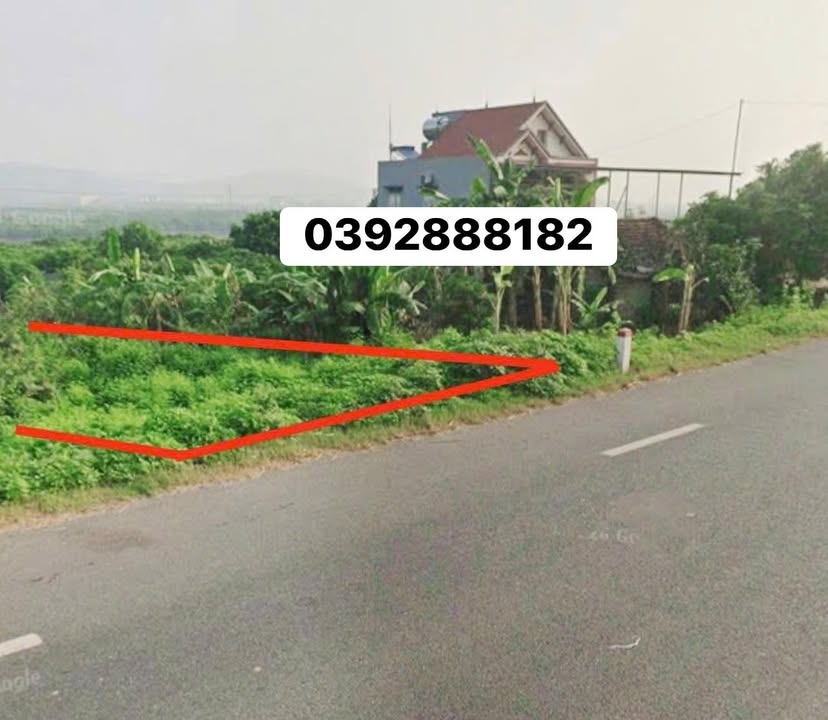 Đất nền Phượng Sơn Lục Ngạn 102m² giá 1.8 tỷ - Cơ hội đầu tư hấp dẫn!