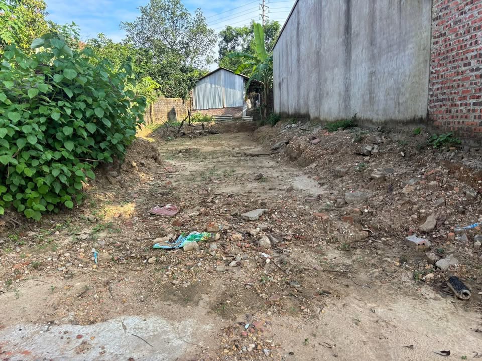 Đất nền Hiệp Hòa Bắc Giang 180m² - Vị trí vàng, tiềm năng tăng giá cao!