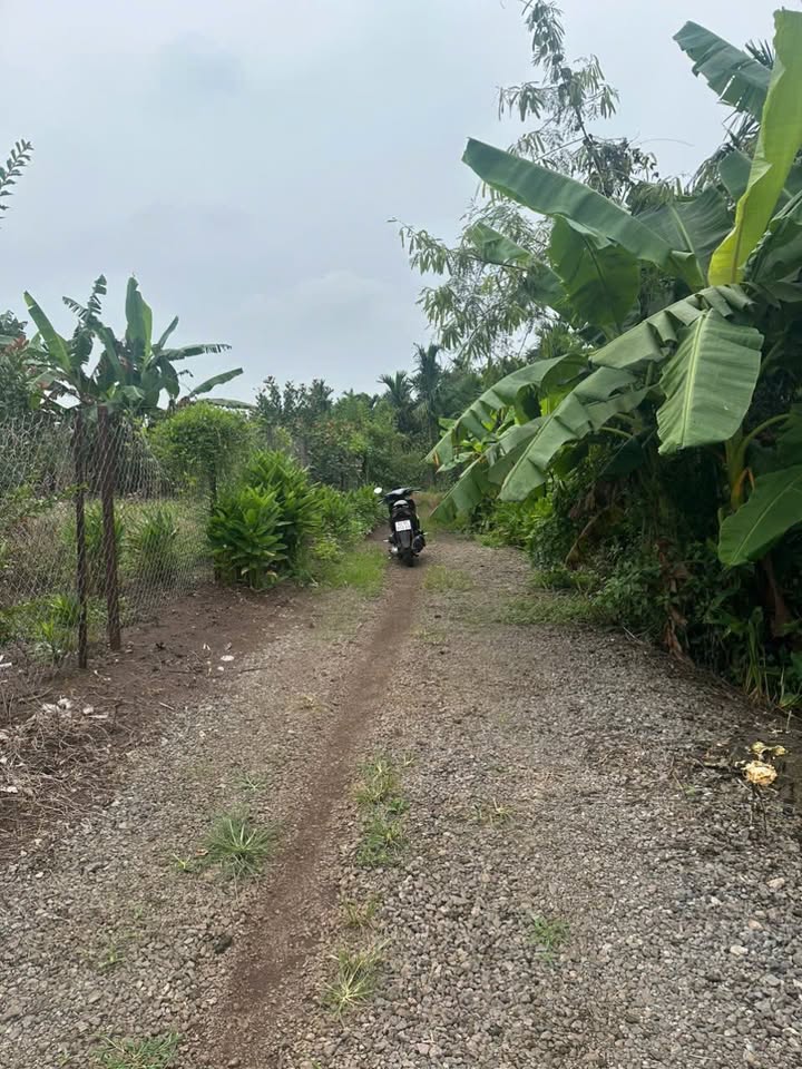 Đất Bảo Quang Long Khánh 2800m² giá 1.728 tỷ - Cơ hội đầu tư tuyệt vời!