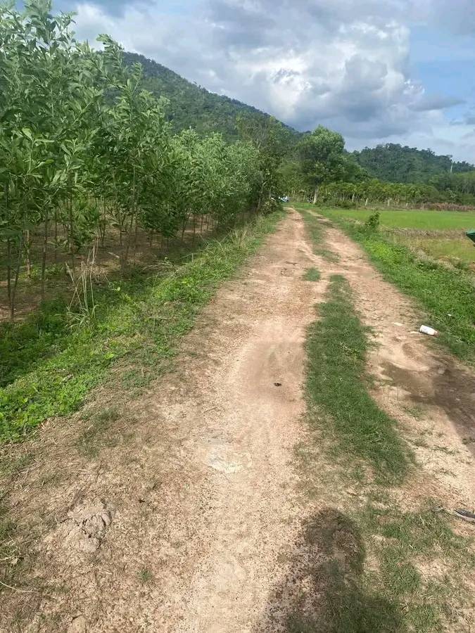 Đất nền 3200m² Đức Mẹ Tà Pao giá 700 triệu - Sổ đỏ riêng, mặt tiền 100m!