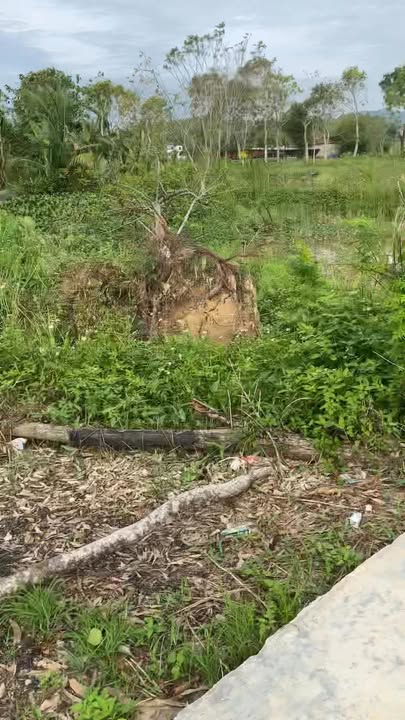 Đất nền xóm Hồng Lĩnh, xã Giai Lạc 350m² giá 600 triệu - Cơ hội đầu tư tuyệt vời!