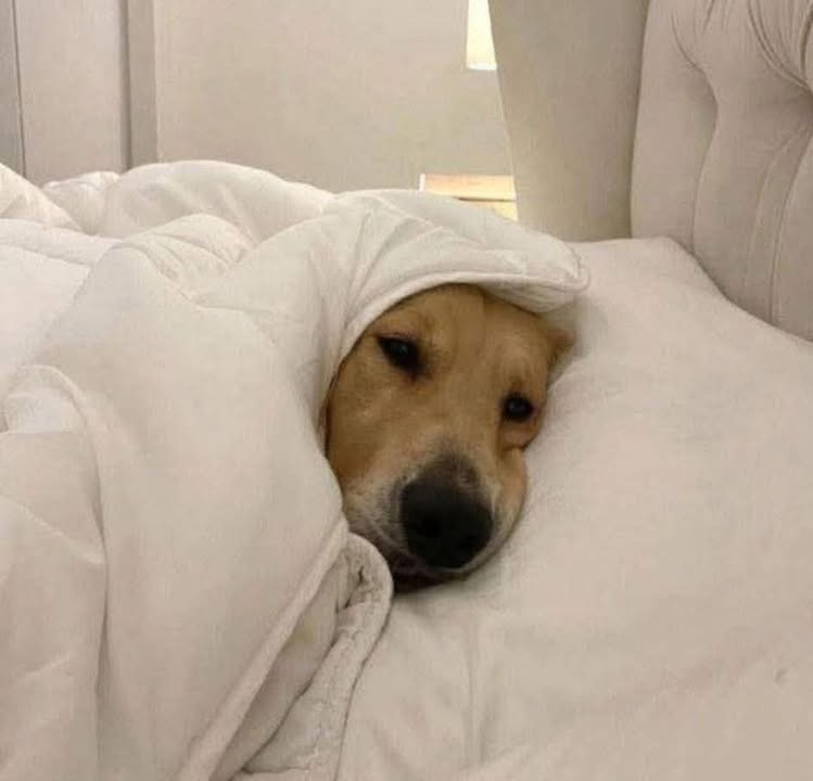 Đất nền Hẻm 45/1 Nguyễn Viết Xuân, Buôn Ma Thuột 72m² giá chỉ từ 2.55 tỷ - Cơ hội đầu tư hấp dẫn!