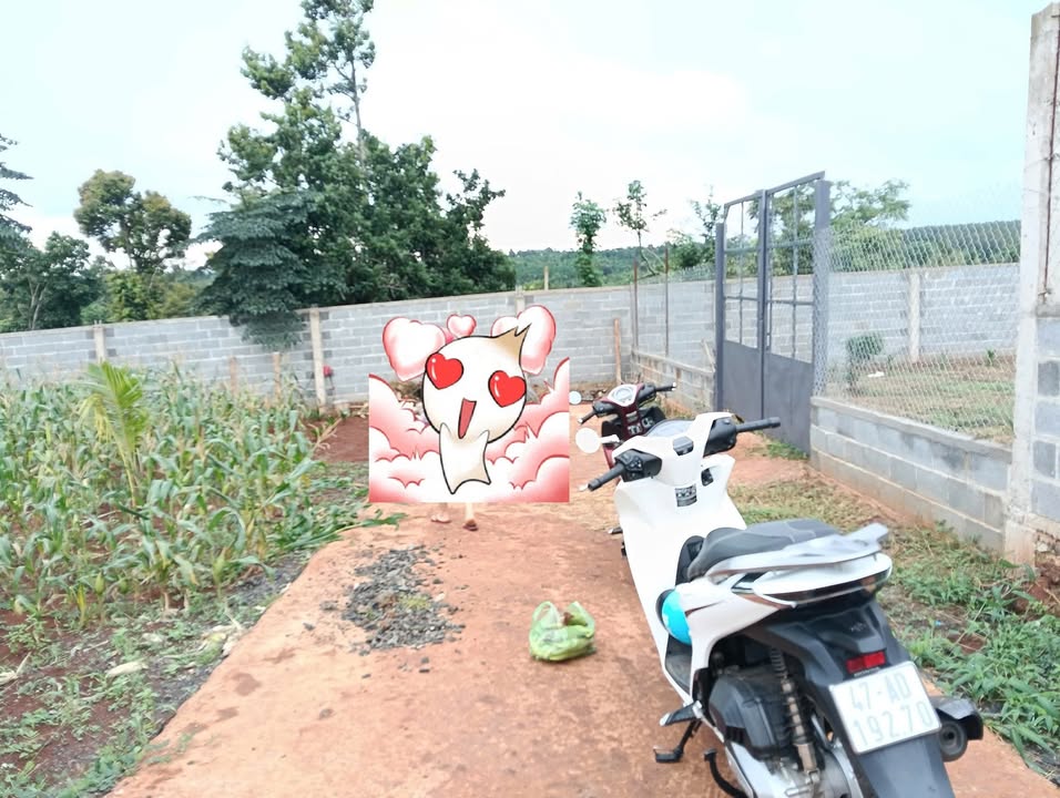 Đất nền hẻm 442 Y Moan, Buôn Ma Thuột 500m² giá 780 triệu - Đầu tư sinh lời hấp dẫn!