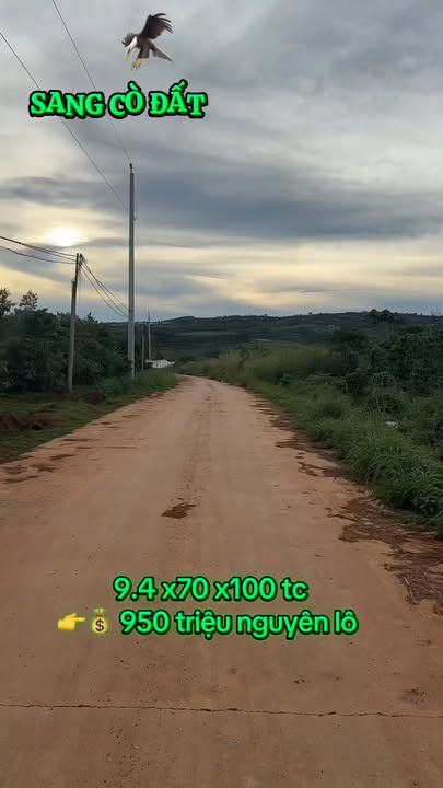 Đất nền Tân Hội, Đức Trọng 665m² giá 850 triệu - Cần bán gấp trong 3 ngày!