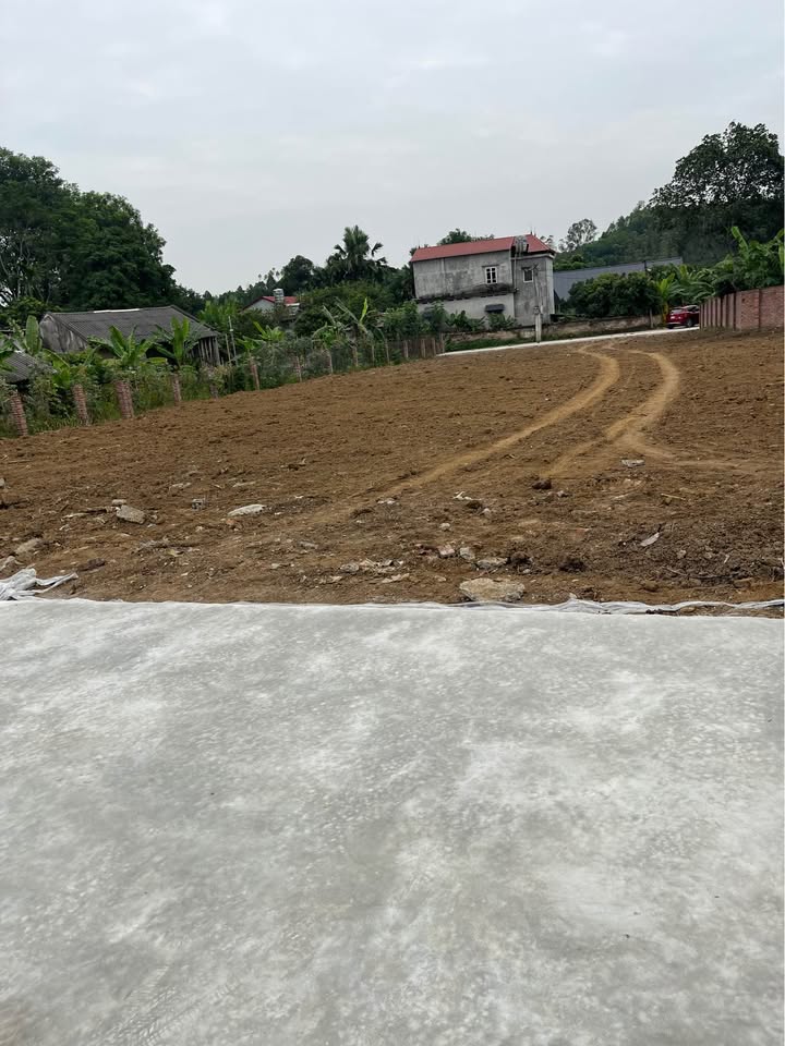 Đất nền Khải Xuân, Thanh Ba, Phú Thọ 160m² chỉ 600 triệu - Cơ hội đầu tư sinh lời!