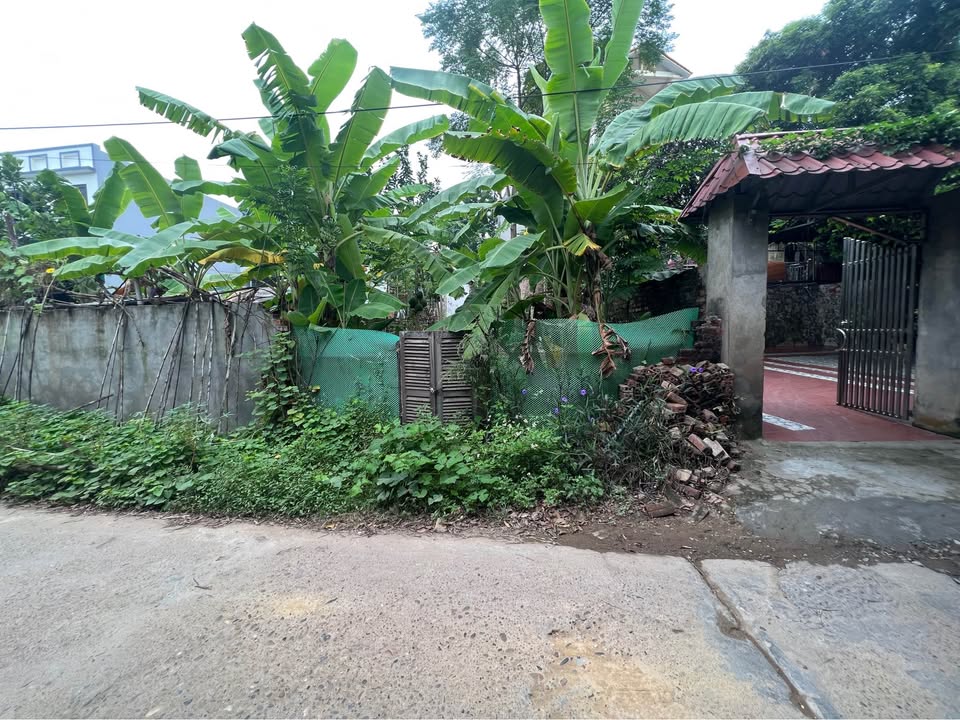 Đất thổ cư 107m² tại khu 4 Sông Lô, Việt Trì - Giá 3.18 tỷ, vị trí đắc địa!