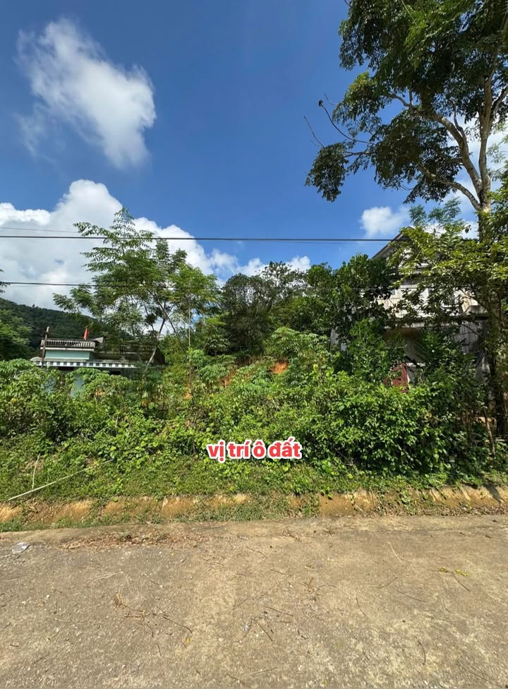 Đất nền khu 5 xã Yên Lương, Thanh Sơn 154m² giá 1.2 tỷ - Đầu tư sinh lời