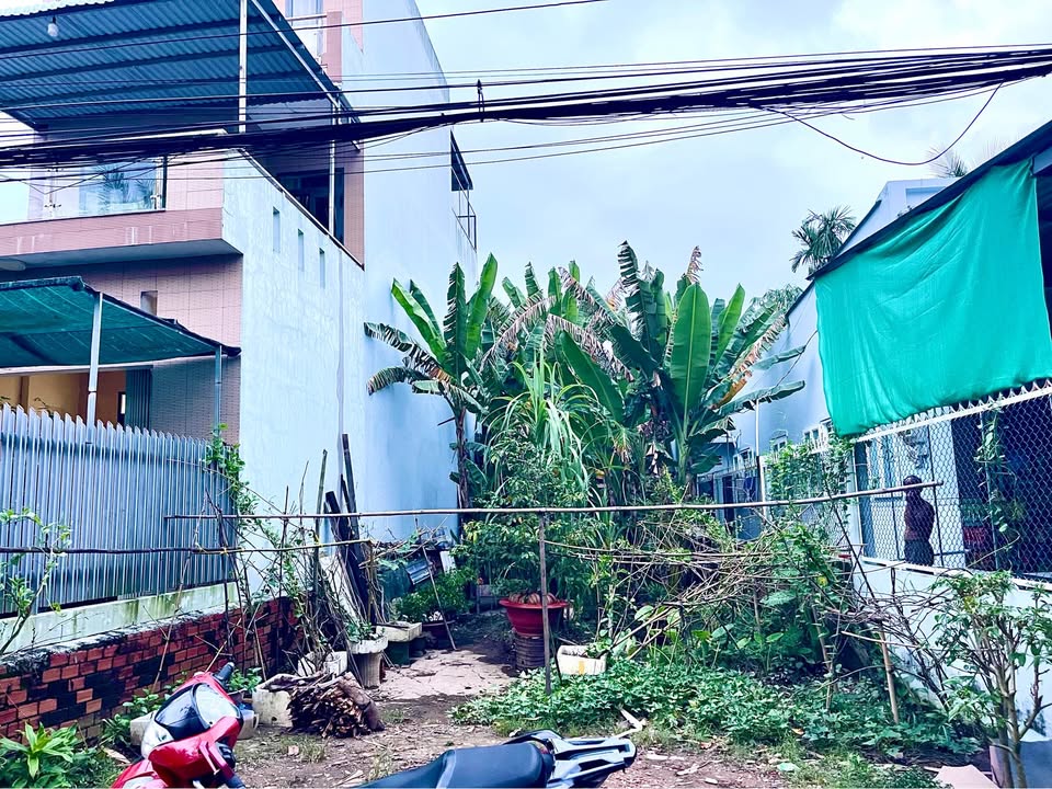 Đất nền Nguyễn Thị Tạo, Cần Thơ 133m² giá 1.95 tỷ - Vị trí đầu tư lý tưởng!