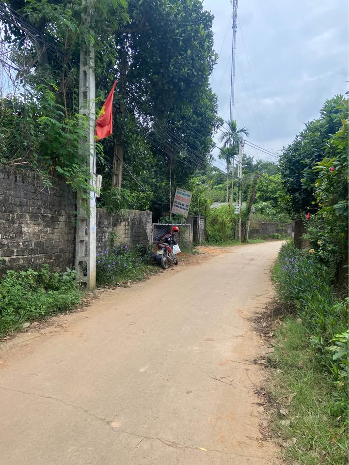 Đất nền 500m² xã Phù Ninh, Phú Thọ - Tiềm năng đầu tư lớn!