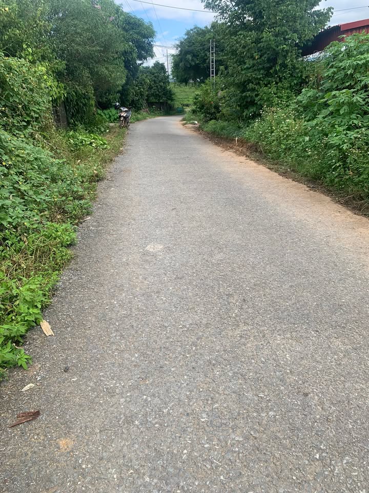 Đất nền Lâm Phú, Văn Miếu, Thanh Sơn 70m² giá 300 triệu - Đầu tư sinh lời ngay!