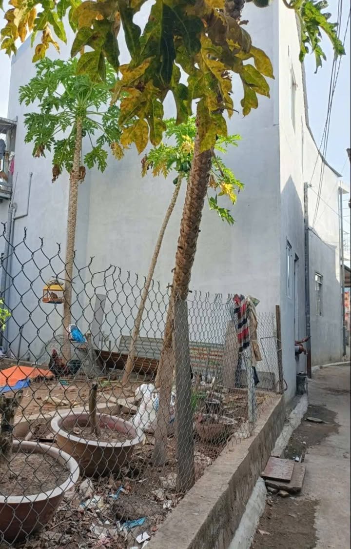 Đất nền Bình Khánh Long Xuyên 35.3m² giá 400 triệu - Đầu tư sinh lời ngay!