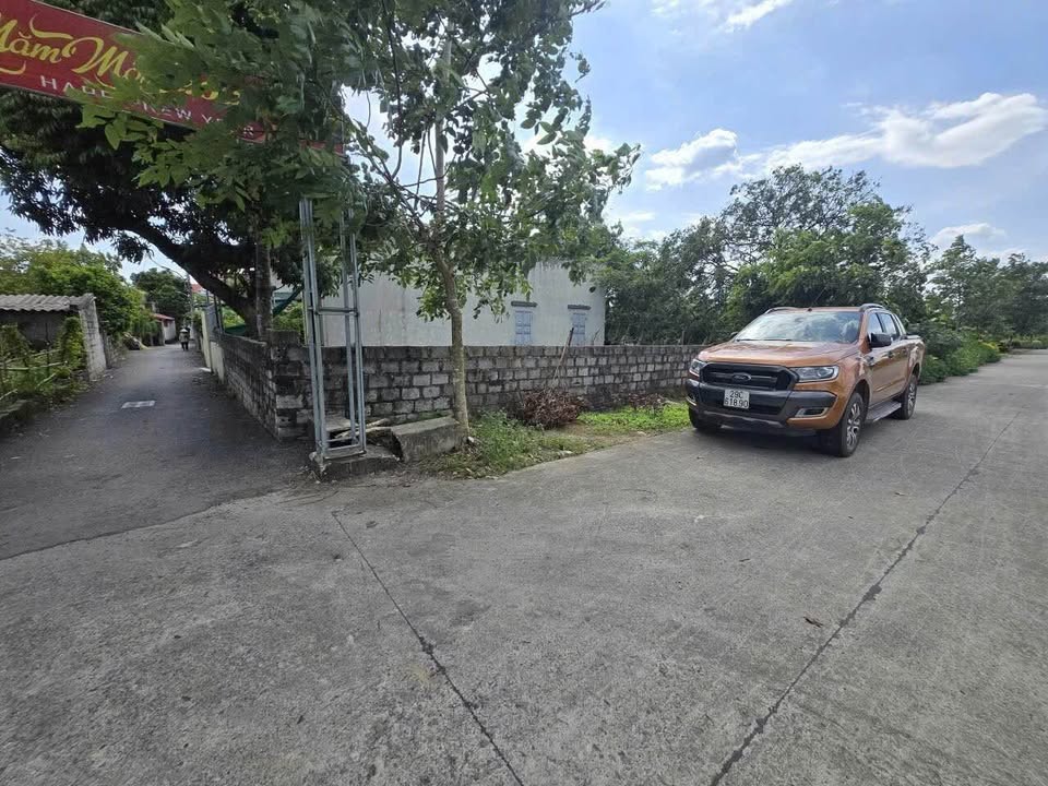 Đất nền Tiên Hải 80m² giá 2 tỷ - Vị trí đắc địa, tiềm năng sinh lời cao!