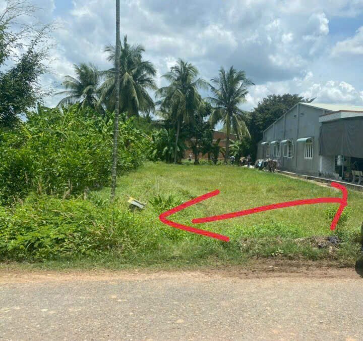 Đất mặt tiền nhựa An Bình, Châu Thành, Tây Ninh 385m² giá 700 triệu - Kinh doanh thuận lợi!