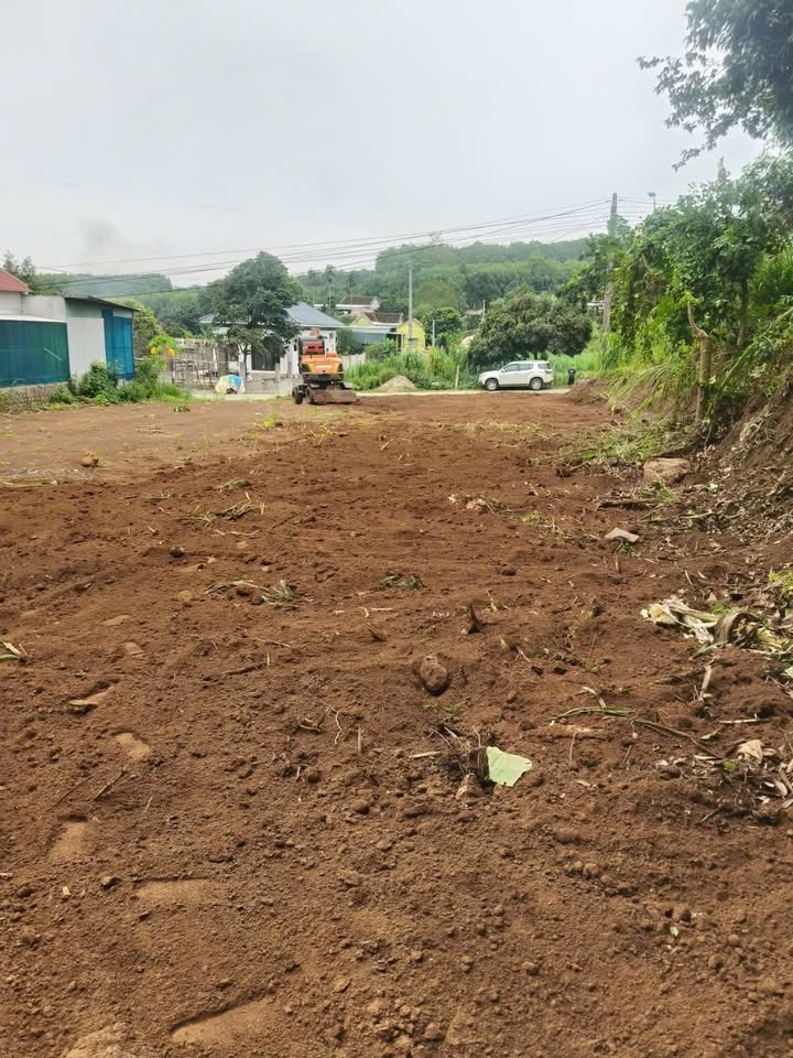 Đất nền Nghĩa Tiến 300m² - Cơ hội đầu tư sinh lời tuyệt vời!