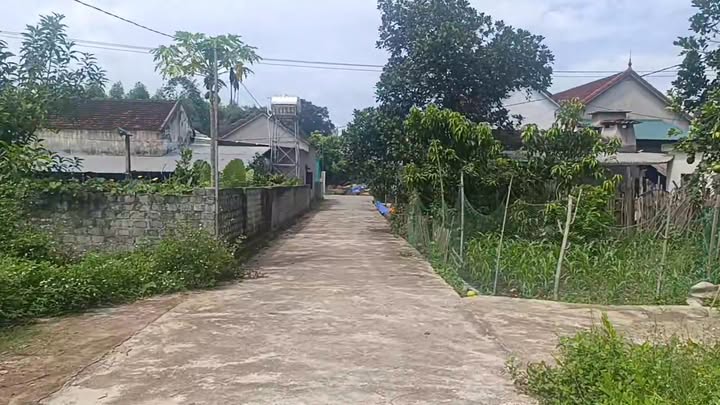 Đất nền Nghĩa Minh 161m² giá chỉ 200 triệu - Cơ hội đầu tư hấp dẫn!