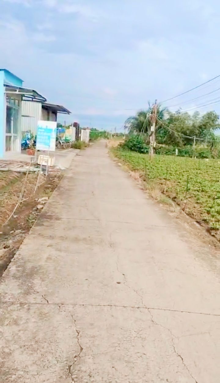 Đất thổ cư 356m² tại Ấp 2 Tân Tây, Gò Công Đông - Chỉ 700 triệu, bán gấp!