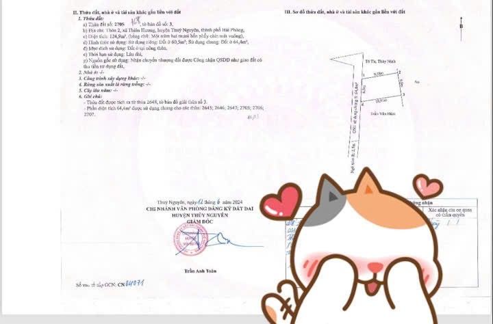 Đất nền 60,5m² tại Thôn 3 cũ, Thiên Hương giá 1 tỷ - Sổ đỏ chính chủ!