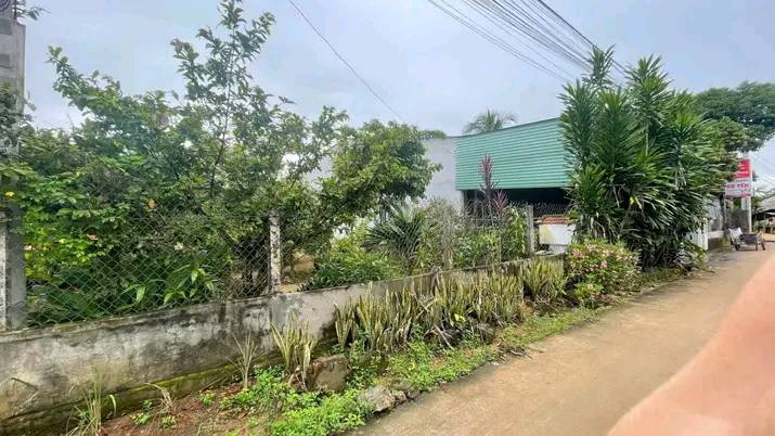 Đất thổ cư 238m² tại Thôn Trung Thành, Vĩnh Quang, Kon Tum - Hướng Tây, giá thỏa thuận!