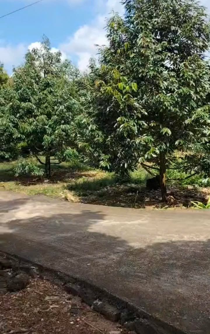 Đất nền Phú Bình, Xuân Lộc 3600m² giá 3.2 tỷ - Đầu tư sinh lời ngay!