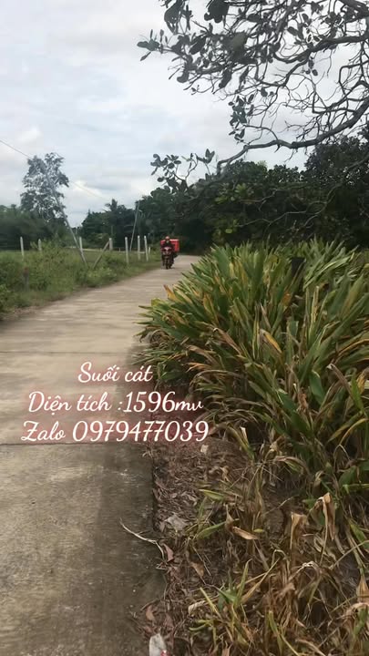 Đất nền Suối Cát, Xuân Lộc 1596m² giá 3.05 tỷ - Cơ hội đầu tư tuyệt vời!