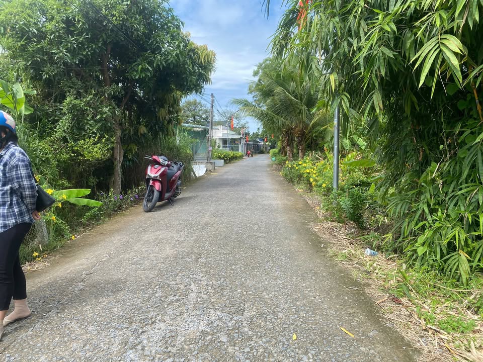 Đất nền Nhơn Nghĩa, Phong Điền 84m² giá 450 triệu - Sổ đỏ chính chủ, có thổ cư!