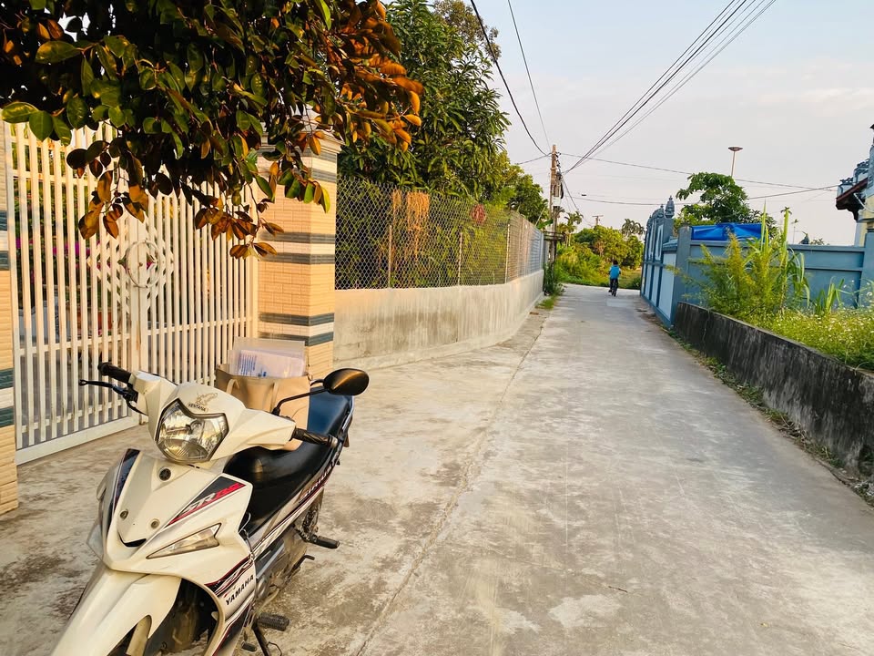 Đất nền 375m² Thôn Trần Phú, xã Bình Định, huyện Kiến Xương - Giá chỉ 700 triệu!