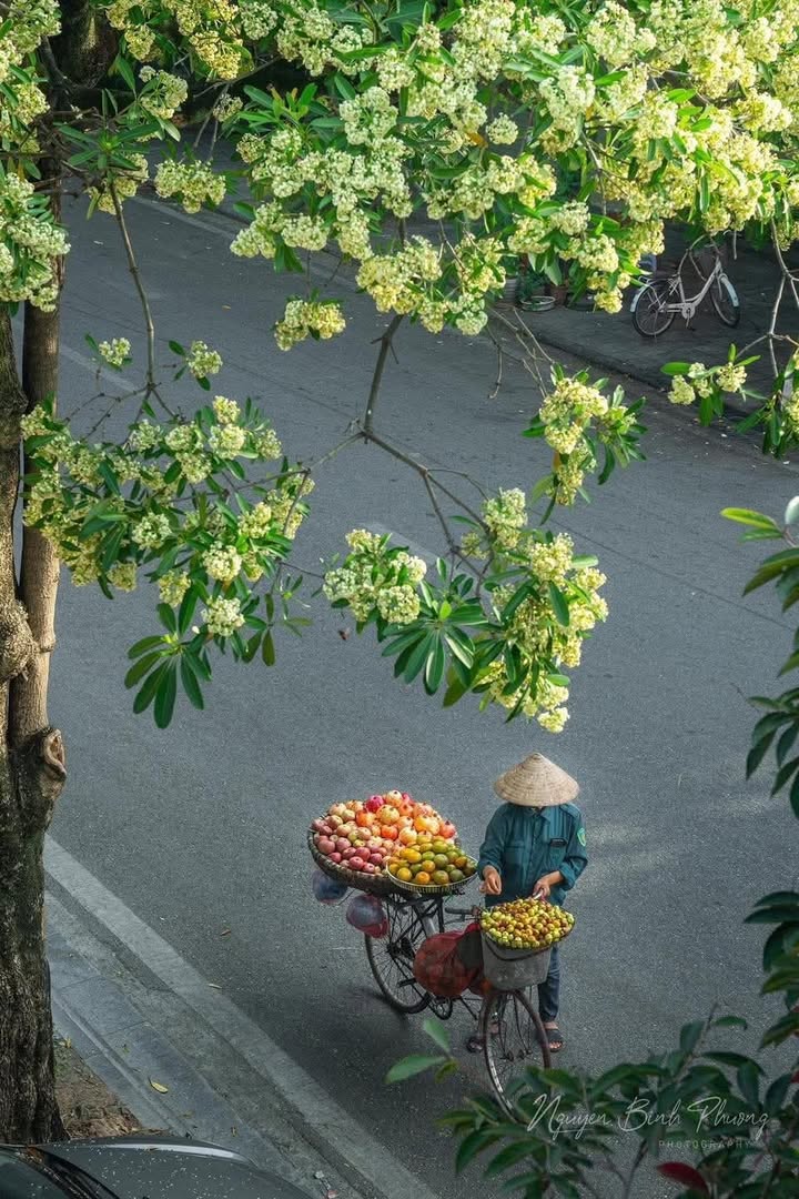 Nhà cho thuê quận 11 Lạc Long Quân 61m² giá 9 triệu - Thiết kế tiện nghi!