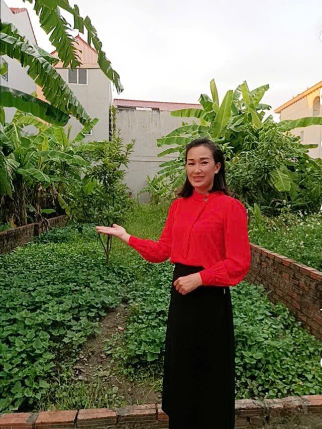 Đất đẹp Phú Hữu, Thanh Lâm, Mê Linh 118,5m² - Cơ hội đầu tư siêu hời!