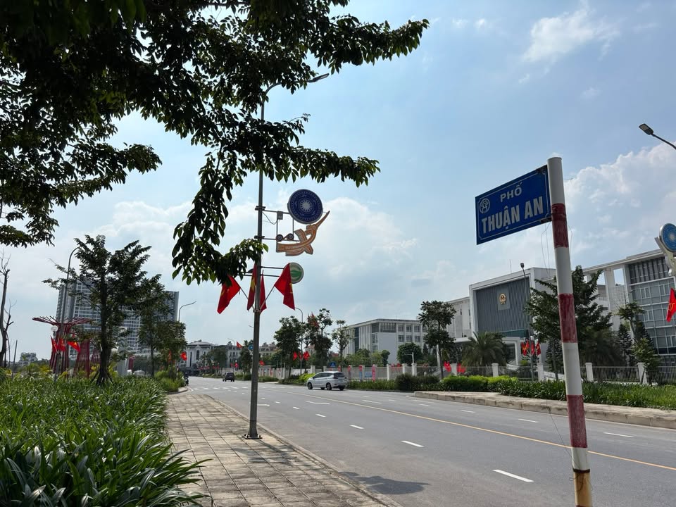 Đất Phân Lô Mặt Phố Trâu Quỳ, Gia Lâm 210m² - Cơ hội đầu tư lý tưởng!